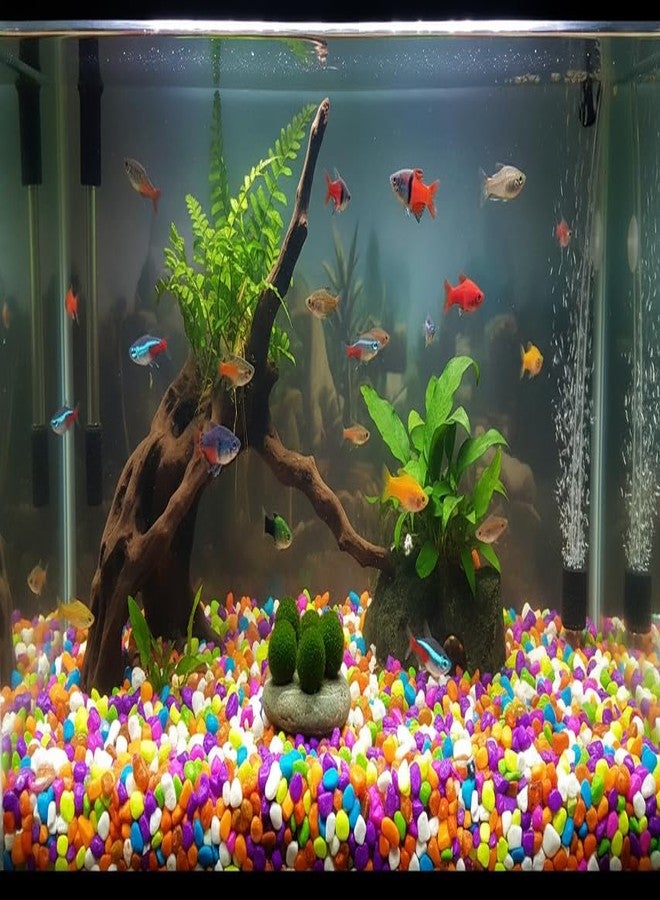 MASHKI 400 Grams Multi Coloured Decorative Stones River Pebbles for Flowerpot, Garden and Aquarium Decoration for Pathway & able Painted Asymmetrical Rock Stone (500) - Image 5